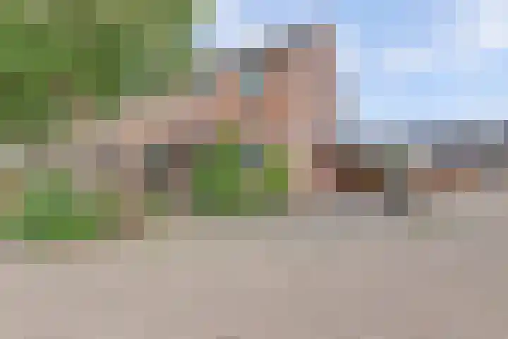 Speenkruid 23 Werkendam thumbnail 39