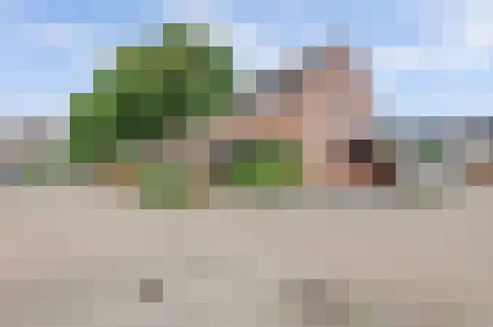 Speenkruid 23 Werkendam thumbnail 4