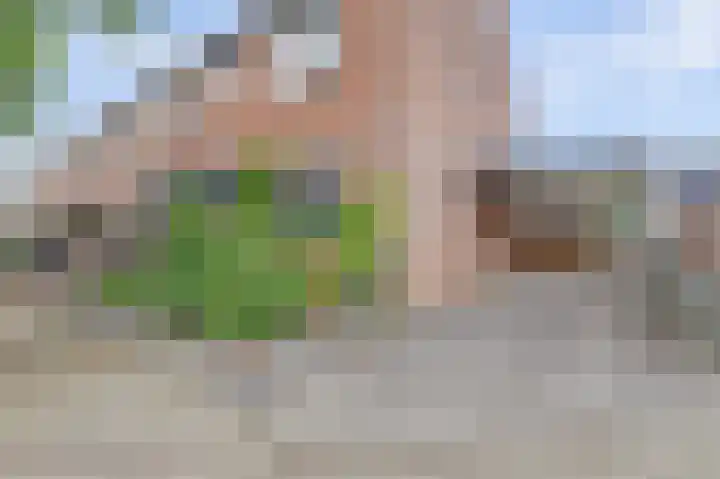 Speenkruid 23 Werkendam thumbnail 5