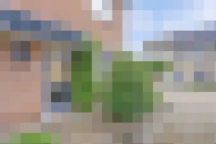 Speenkruid 23 Werkendam thumbnail 6