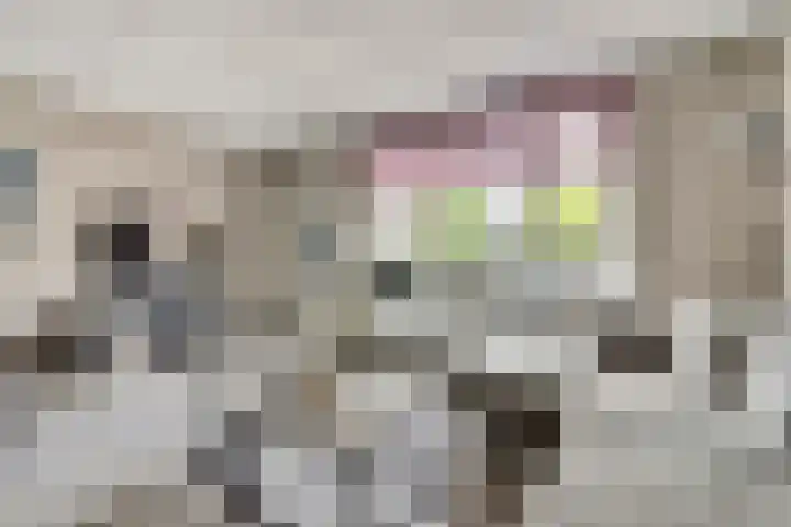 Speenkruid 23 Werkendam thumbnail 9