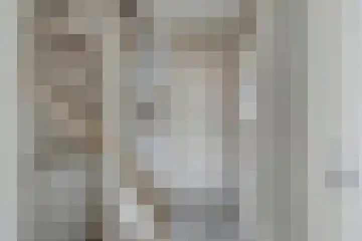 Speenkruid 24 Diemen thumbnail 11