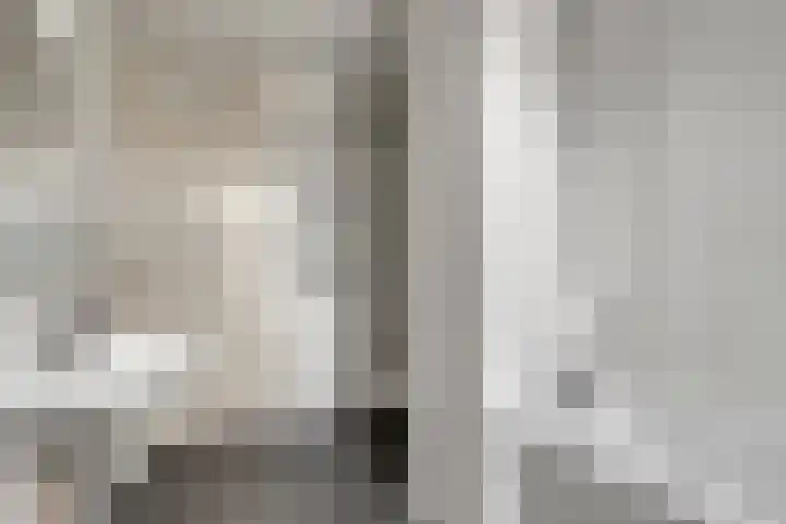 Speenkruid 24 Diemen thumbnail 13