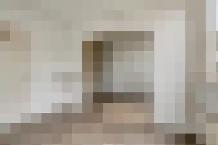 Speenkruid 24 Diemen thumbnail 15