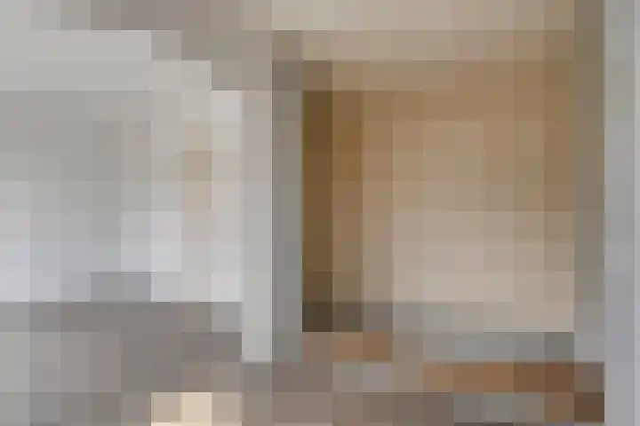 Speenkruid 24 Diemen thumbnail 16