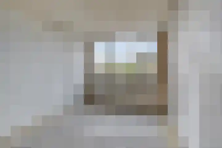 Speenkruid 24 Diemen thumbnail 19