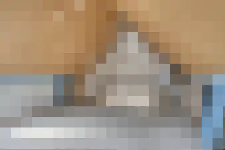 Speenkruid 24 Diemen thumbnail 21