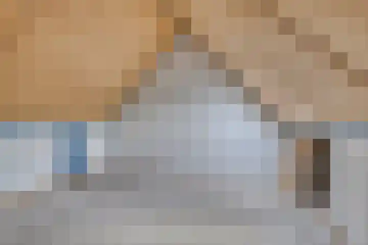 Speenkruid 24 Diemen thumbnail 22