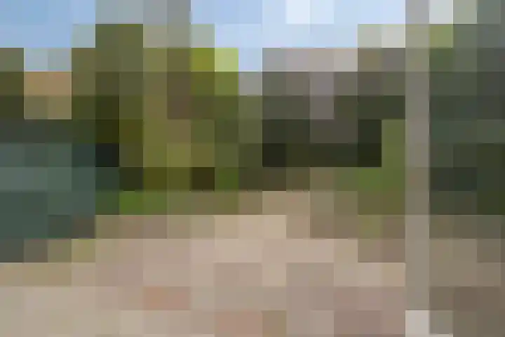 Speenkruid 24 Diemen thumbnail 23