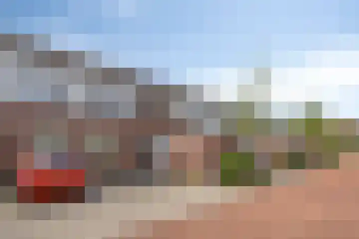 Speenkruid 24 Diemen thumbnail 24