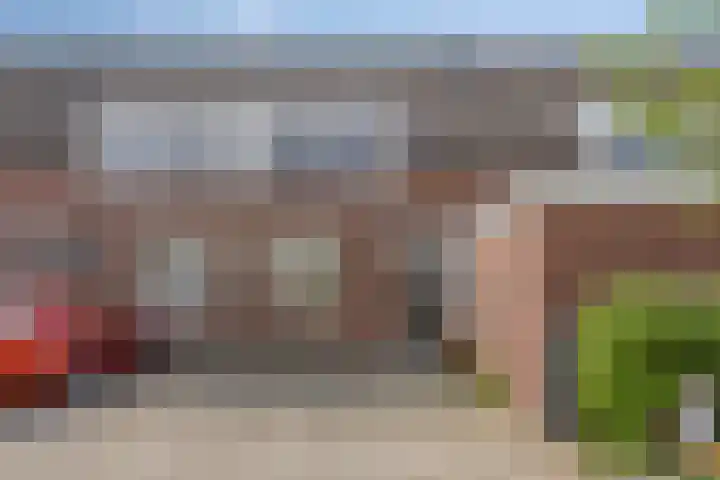 Speenkruid 24 Diemen thumbnail 29