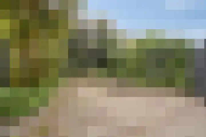 Speenkruid 24 Diemen thumbnail 4
