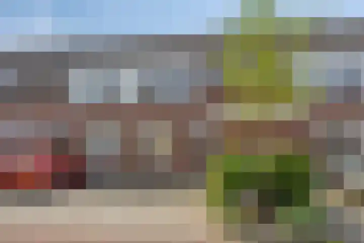 Speenkruid 24 Diemen thumbnail 5
