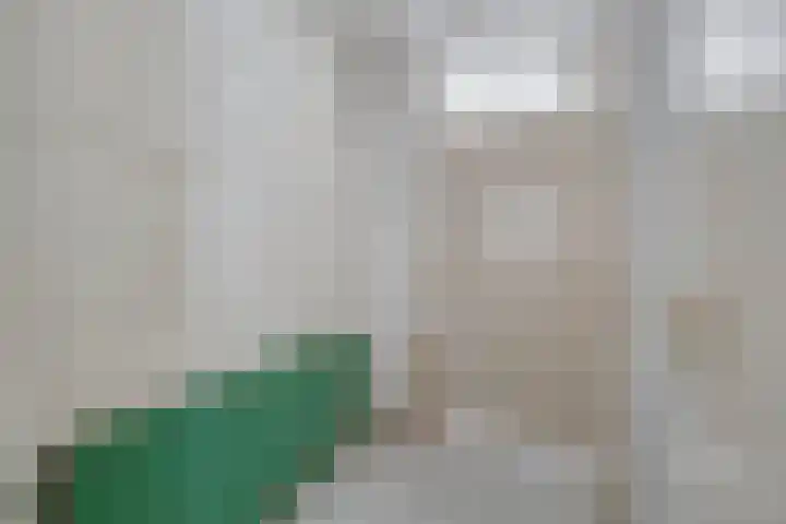 Speenkruid 24 Diemen thumbnail 6