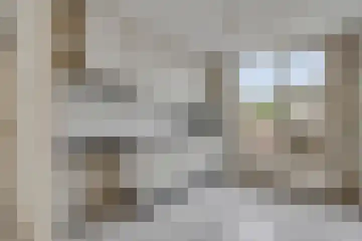 Speenkruid 24 Diemen thumbnail 7