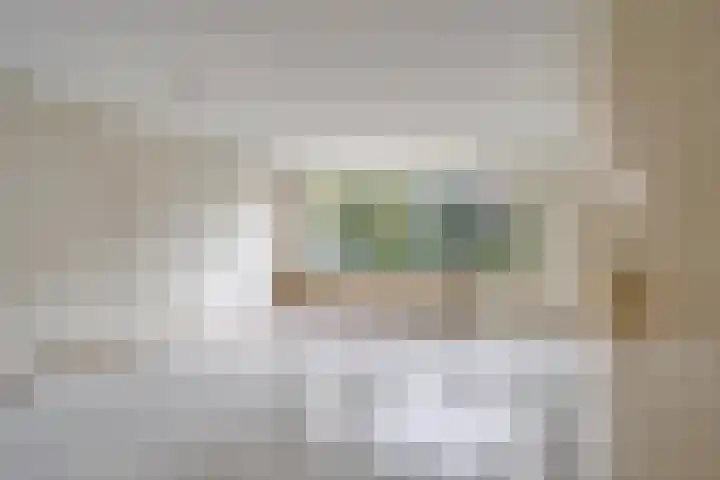 Speenkruid 24 Diemen thumbnail 9