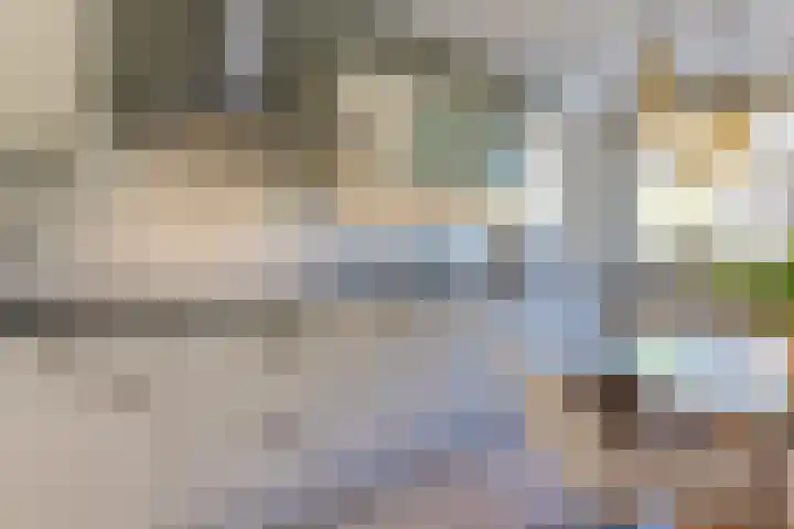 Speenkruid 28 Rijssen thumbnail 12