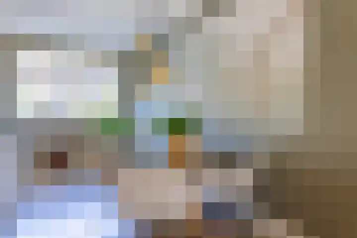 Speenkruid 28 Rijssen thumbnail 13