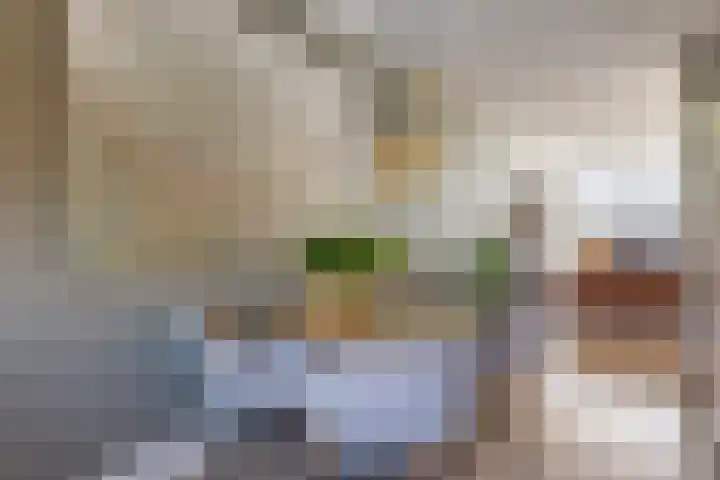Speenkruid 28 Rijssen thumbnail 14