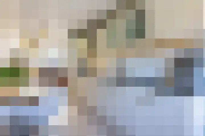 Speenkruid 28 Rijssen thumbnail 15