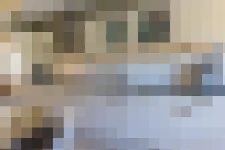 Speenkruid 28 Rijssen thumbnail 16