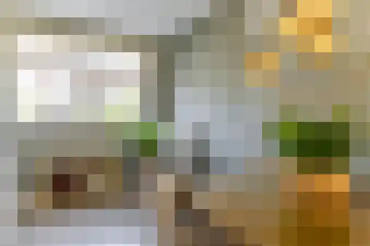 Speenkruid 28 Rijssen thumbnail 17