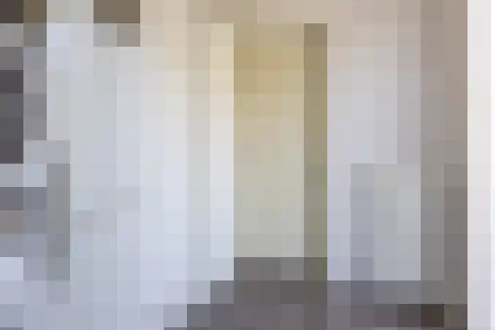 Speenkruid 28 Rijssen thumbnail 19