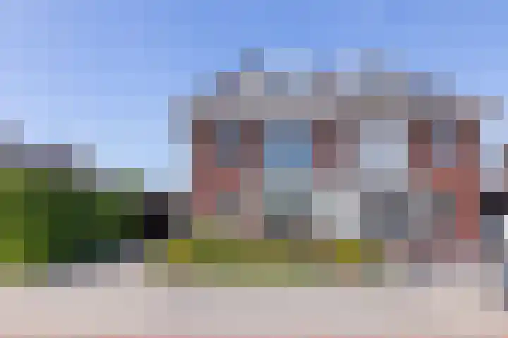 Speenkruid 28 Rijssen foto 2