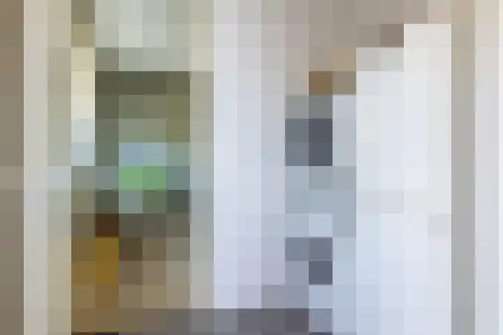 Speenkruid 28 Rijssen thumbnail 20