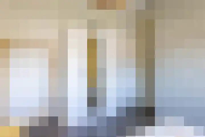 Speenkruid 28 Rijssen thumbnail 29