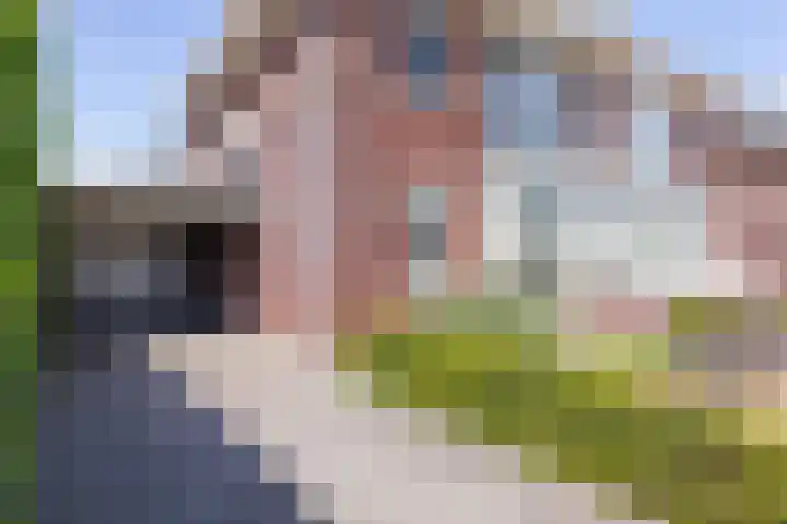 Speenkruid 28 Rijssen foto 3