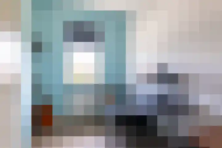 Speenkruid 28 Rijssen thumbnail 30