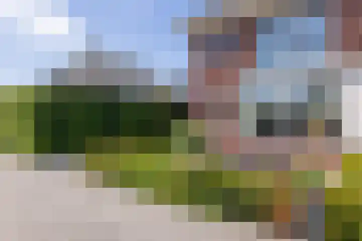 Speenkruid 28 Rijssen thumbnail 4
