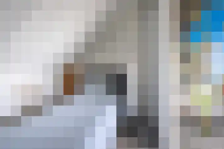 Speenkruid 28 Rijssen thumbnail 42