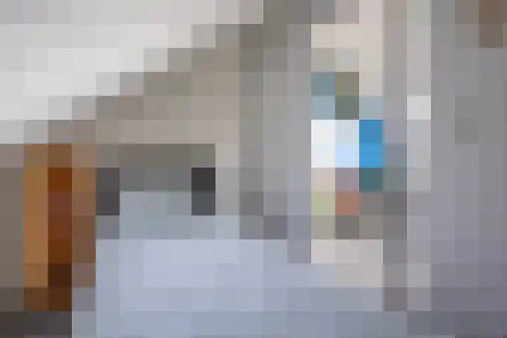 Speenkruid 28 Rijssen thumbnail 43