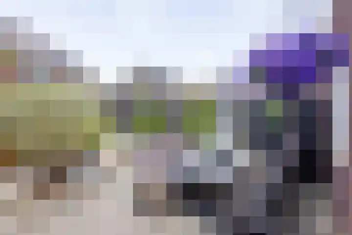 Speenkruid 28 Rijssen thumbnail 44