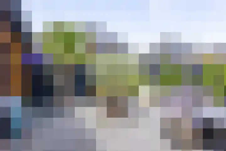 Speenkruid 28 Rijssen thumbnail 45