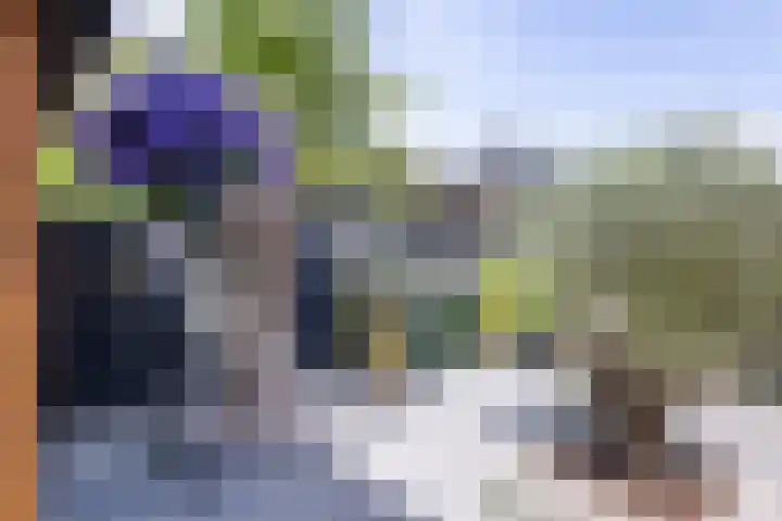 Speenkruid 28 Rijssen thumbnail 46