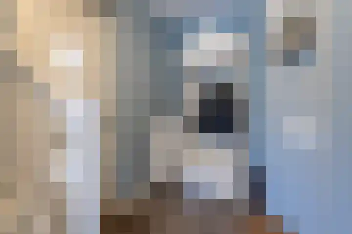 Speenkruid 28 Rijssen thumbnail 5