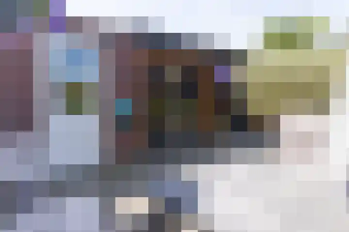 Speenkruid 28 Rijssen thumbnail 51