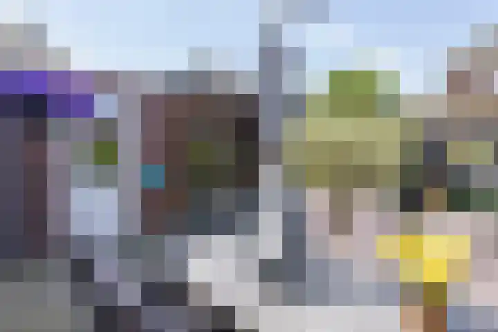 Speenkruid 28 Rijssen thumbnail 52