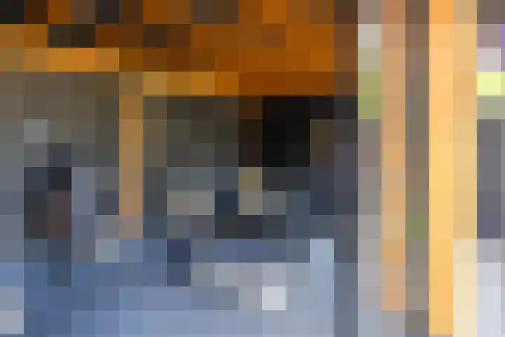 Speenkruid 28 Rijssen thumbnail 53