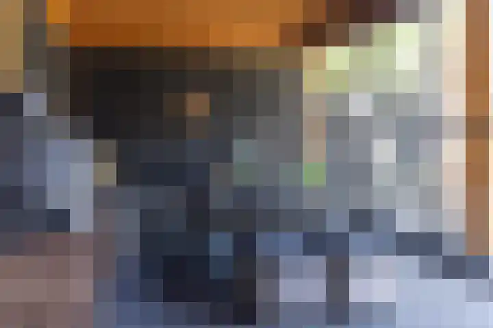 Speenkruid 28 Rijssen thumbnail 54