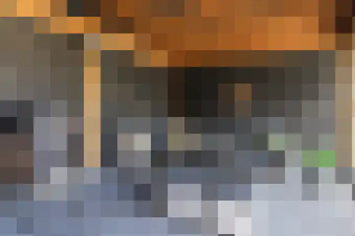 Speenkruid 28 Rijssen thumbnail 55