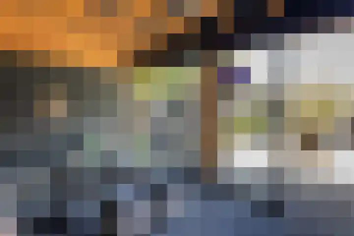 Speenkruid 28 Rijssen thumbnail 56