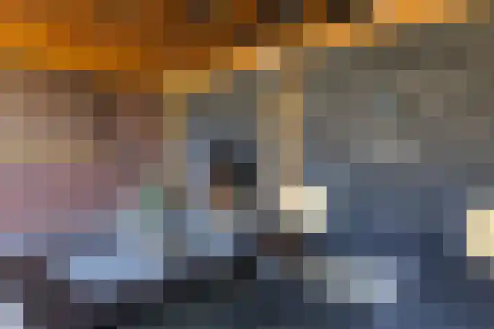 Speenkruid 28 Rijssen thumbnail 57
