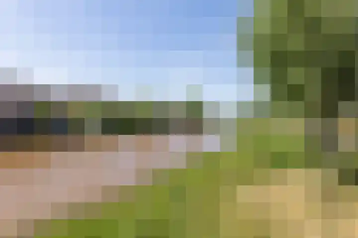 Speenkruid 28 Rijssen thumbnail 60