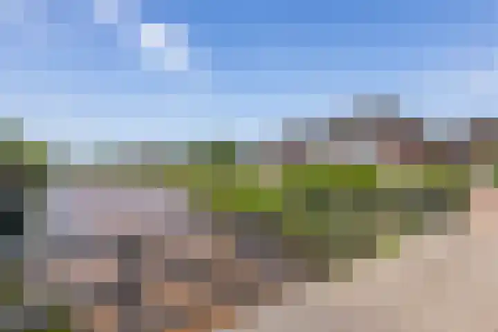 Speenkruid 28 Rijssen thumbnail 61