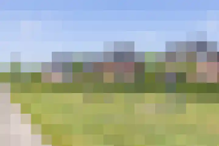 Speenkruid 28 Rijssen thumbnail 62