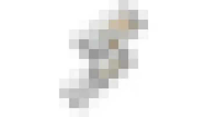 Speenkruid 28 Rijssen thumbnail 64